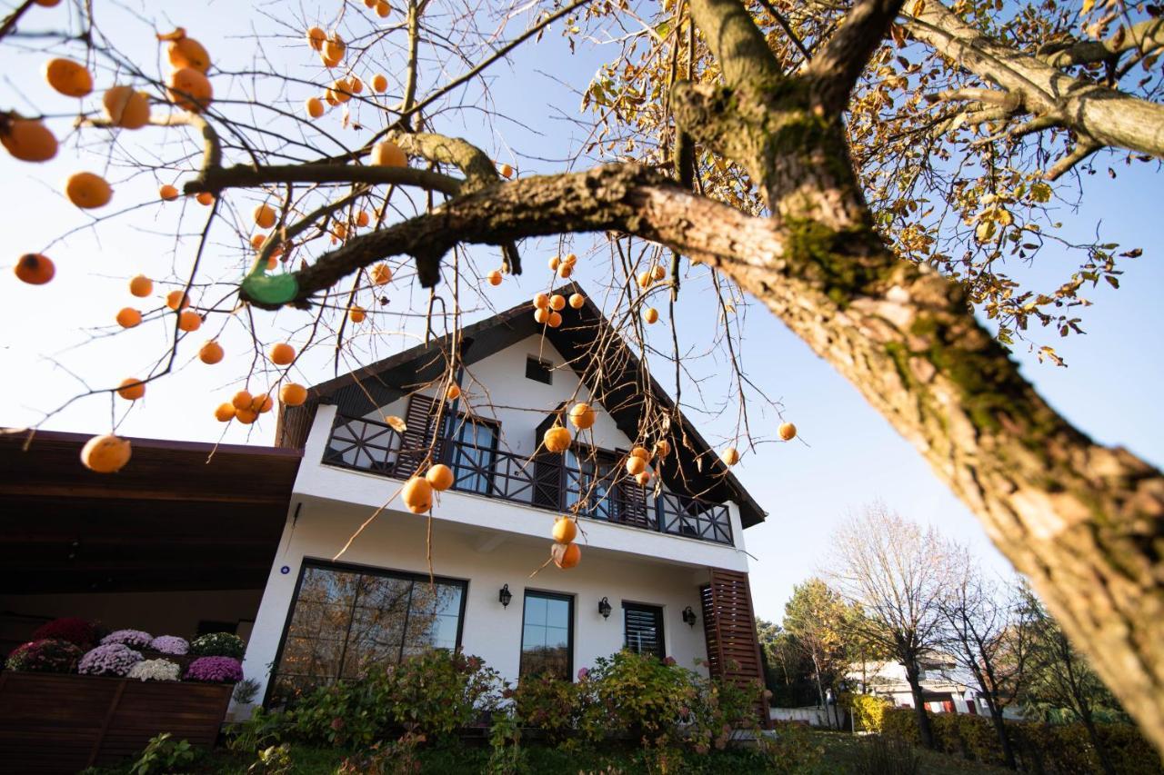 Villa Nora Butik Otel Ve Bungalov Bursa Buitenkant foto